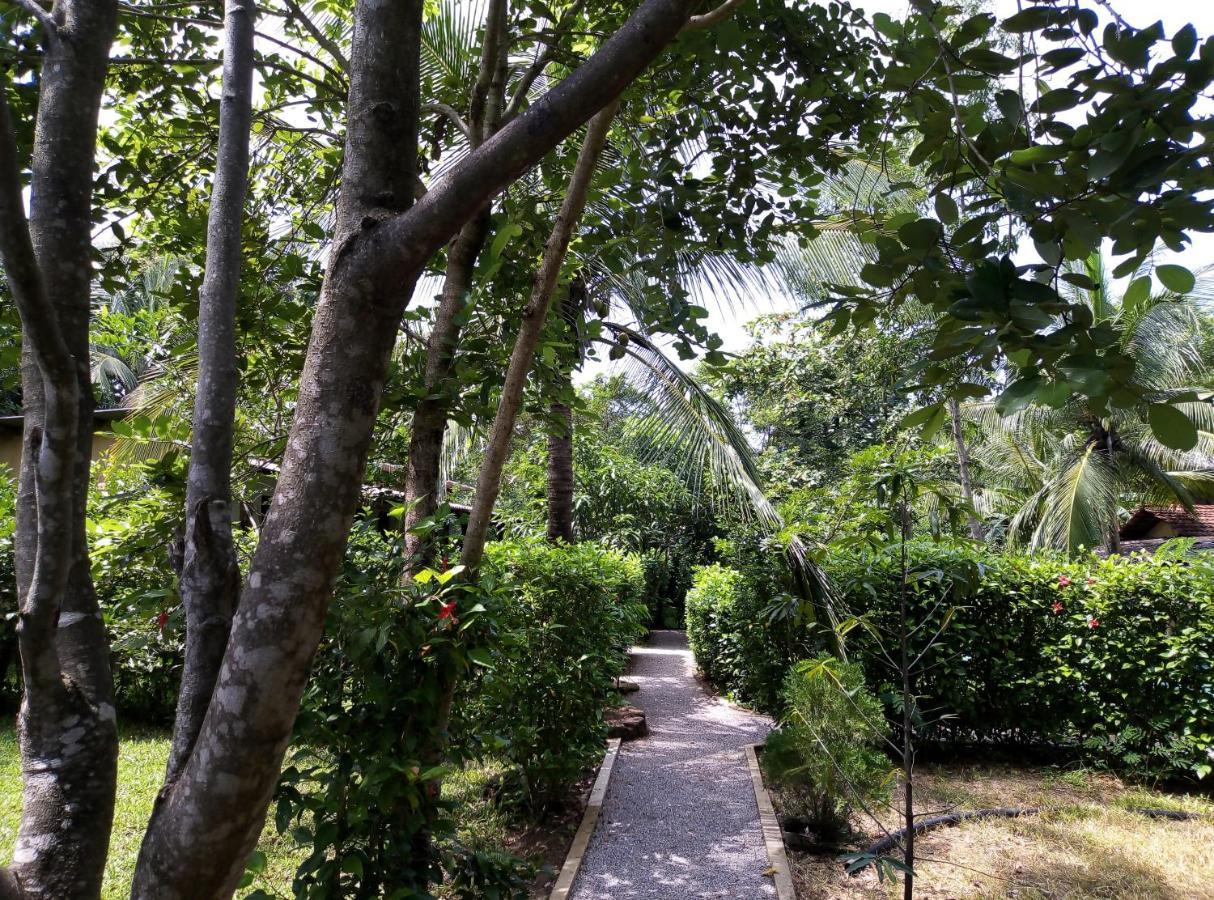 Sigiri Charuka Resort Sigiriya Luaran gambar