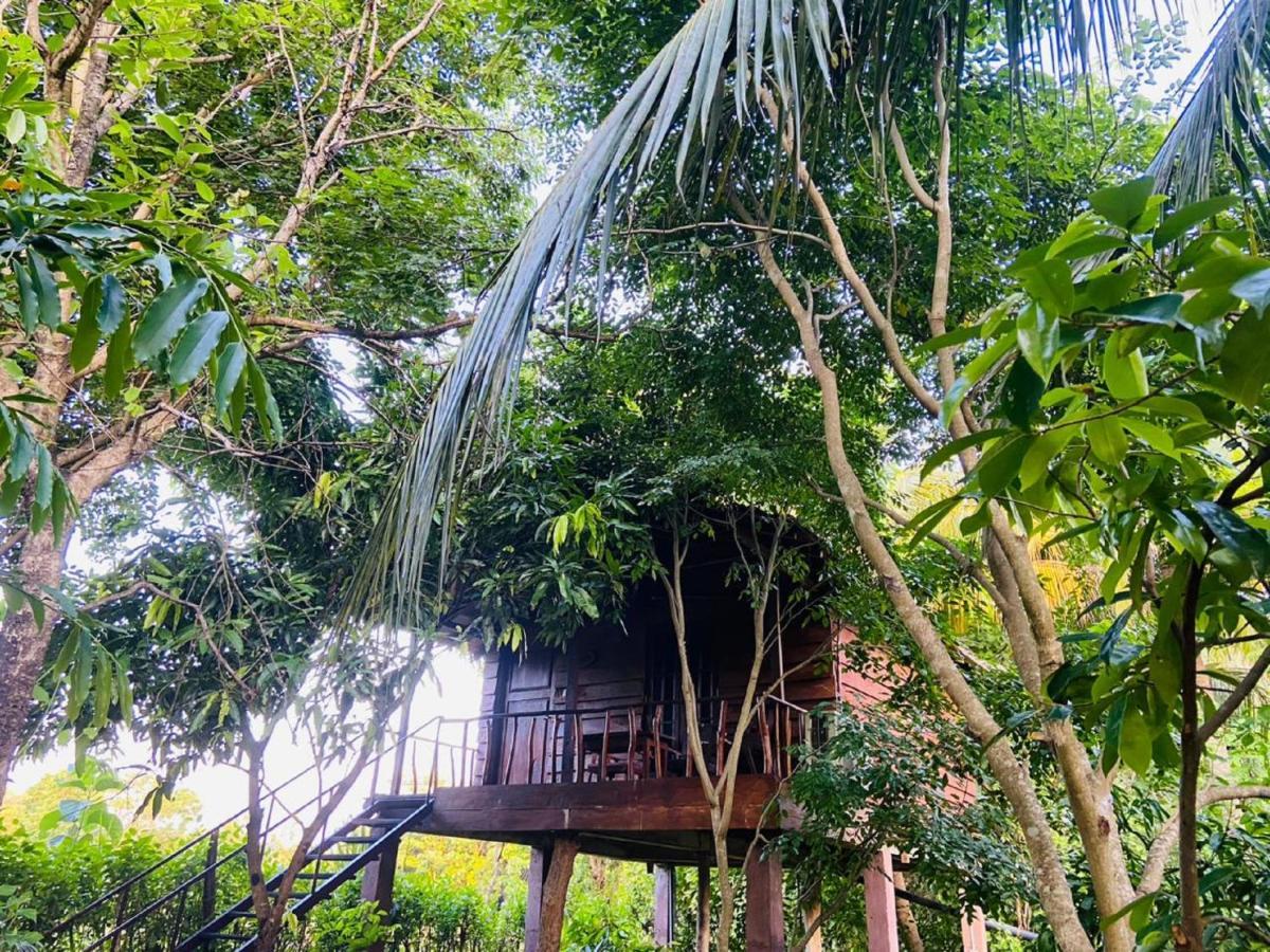 Sigiri Charuka Resort Sigiriya Luaran gambar